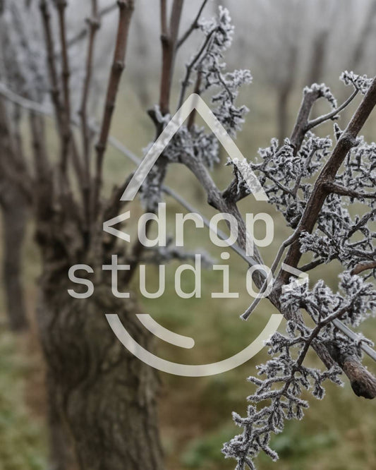 Drop_winter_2025_33